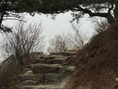 -北京鹫峰国家森林公园