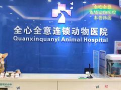 -全心全意连锁动物医院·微创中心·内科急重症·心脏专科(丰管路店)