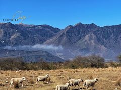 景点-石棉县孟获城