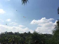 -广州市白云山风景名胜区