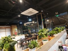 -凤兴鸡煲(宝安海雅店)