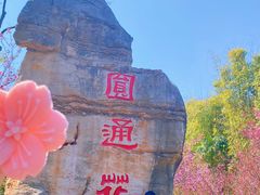 -昆明动物园