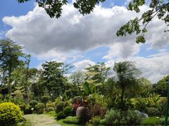 -东莞植物园