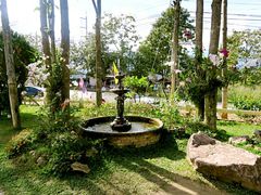-黄色小屋