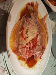 -新锦江大酒店·宴会厅·婚宴