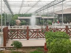 -九天休闲谷