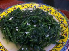 明月菜-丁老爷子苏香圆
