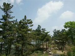 -沂蒙山旅游区云蒙景区(蒙山国家森林公园)