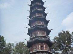 -上海佘山国家森林公园西佘山园