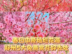 -椒馋小馆(绿源路店)