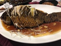 -津菜典藏河西店(水上店)