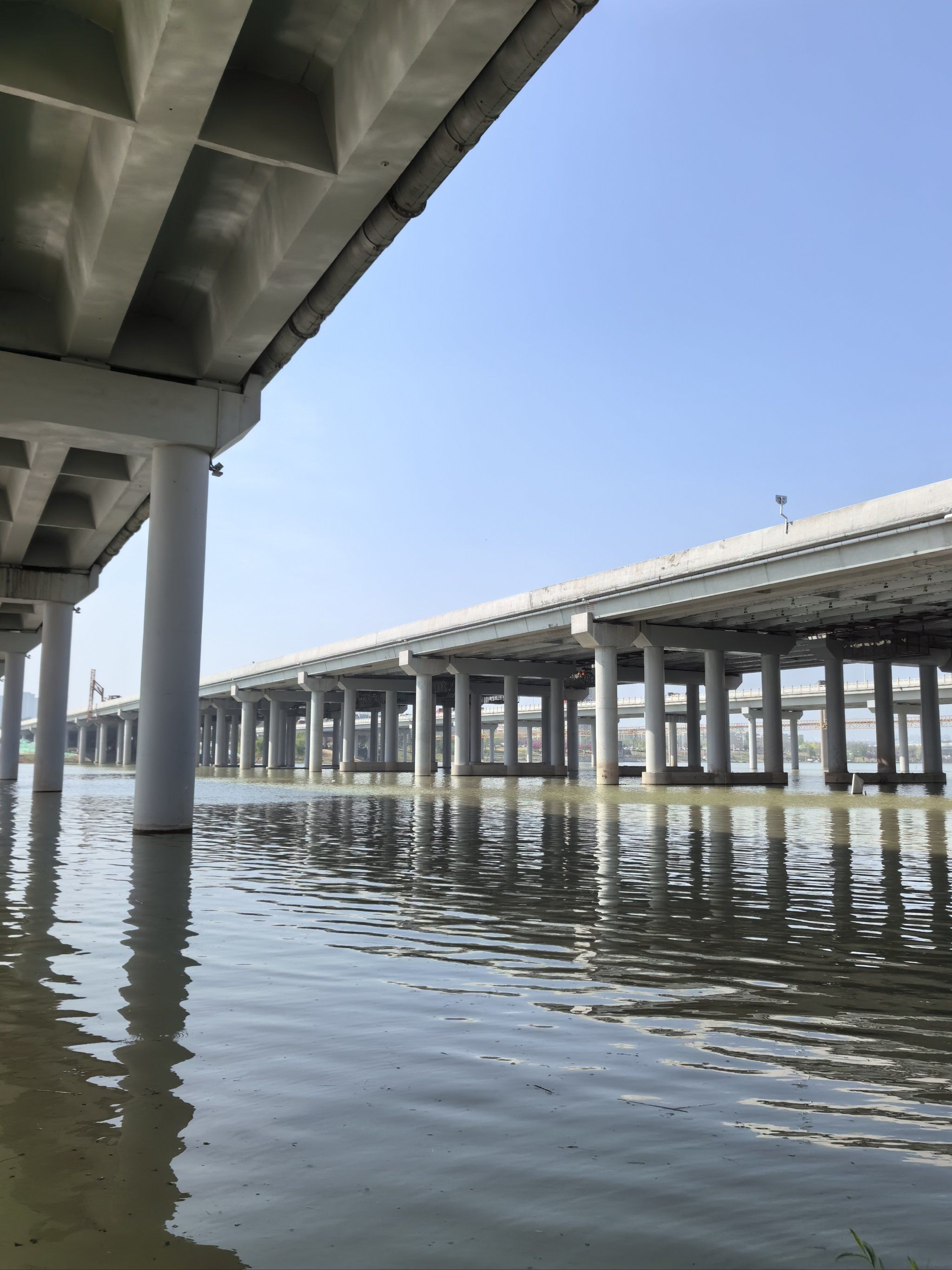 我的春日crush|灞河边上春天