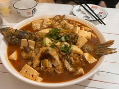 -煲来饱去冷水鱼