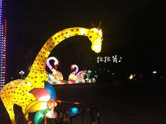 景点-金砂公园