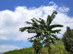 -野三坡清泉山风景区