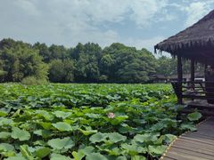-兰亭风景区