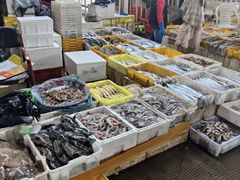 -中国舟山国际水产城