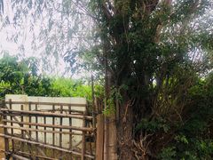 -三江森林温泉度假区