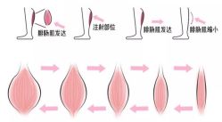 -深圳阳光医疗美容医院·旗舰店