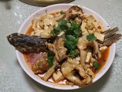 -煲来饱去冷水鱼