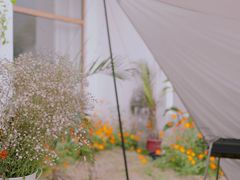 -树山生态村