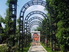 -金山农民画村-枫泾波兰倒置屋