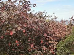 -环翠峪风景区