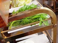 青菜拼盘-大明铜锅·烤涮坊·烧烤(总店)