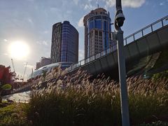 -北外滩滨江绿地