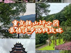 -铁山坪森林公园
