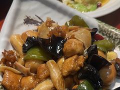 -邵年鸽(杨庄店)