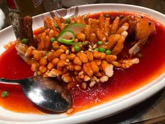 多c松子鲈鱼-厨娘CN(大行宫店)