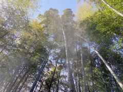 -江南天池高山汤泉城