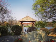 -海珠湖公园