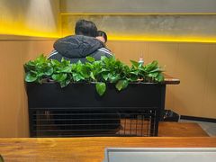 -为民烧烤吧.自贡爆炒菜(收录10年好店)