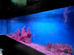 -避尘 Bsense·SPA(新会展总店)
