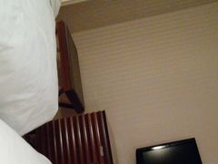 -圣雷克大酒店