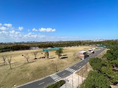 -春花秋色城市公园