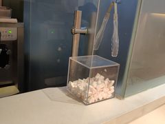 -狐狸和向日葵(北京路店)