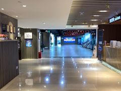 -【朵云轩艺术中心】博洛尼亚插画展·中国巡展·上海站
