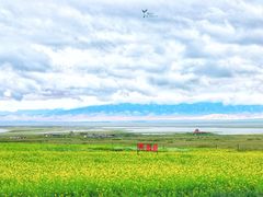 -青海湖国家重点风景名胜区