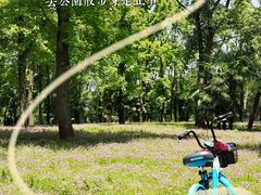 -东湖听涛景区