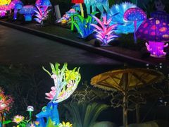 -海合安成都极地海洋公园
