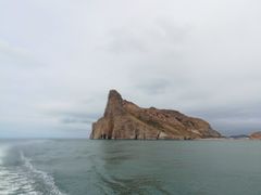 -长岛万鸟岛