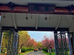 -上海海湾国家森林公园