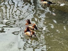 -水上乐园·欢乐世界