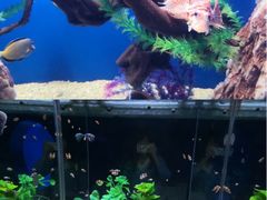 -烟台海昌鲸鲨海洋公园