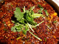 盐帮安格斯牛肉-雀蓝川菜(奥体广场店)