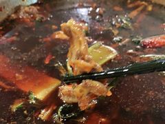 -温江公平红烧兔(总店)