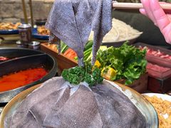 -宽巷子成都火锅(南站店)